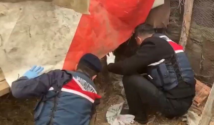 Jandarma, kümese saklanan uyuşturucuyu ele geçirdi: 2 gözaltı - kizilirmakgazetesi.com