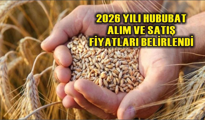 2026 YILI HUBUBAT ALIM VE SATIŞ FİYATLARI BELİRLENDİ