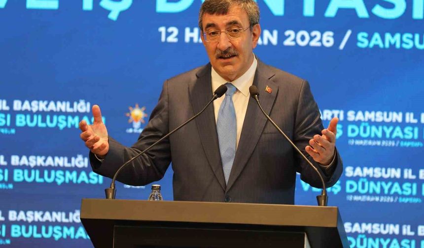 Cumhurbaşkanı Yardımcısı Cevdet Yılmaz, 'Her türlü riske karşı ülkemizi hazırlıyoruz'
