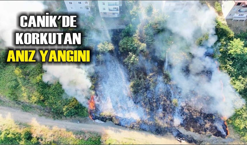 Canik'de korkutan anız yangını