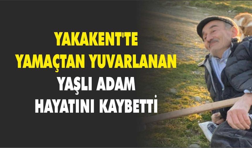 Yakakent'te yamaçtan yuvarlanan yaşlı adam hayatını kaybetti