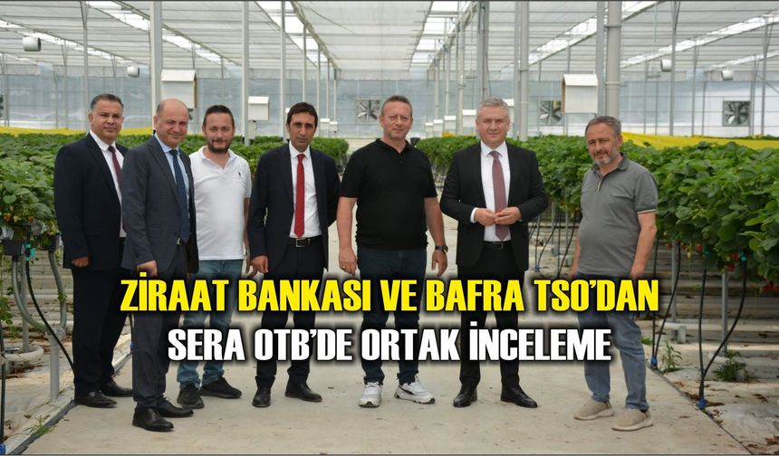 Ziraat Bankası ve Bafra TSO’dan Sera OTB’de Ortak İnceleme