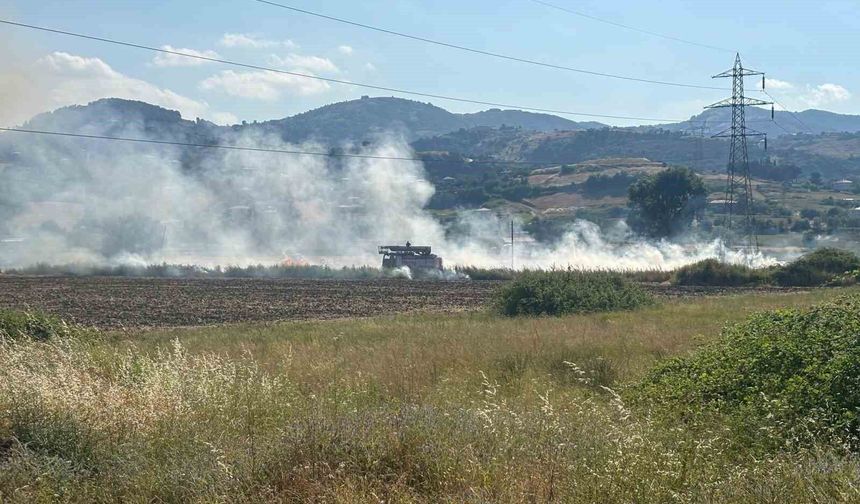 Samsun'da samanlık alanda çıkan yangın söndürüldü