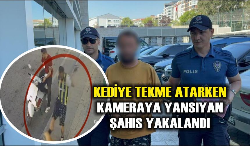 Kediye tekme atarken kameraya yansıyan şahıs yakalandı
