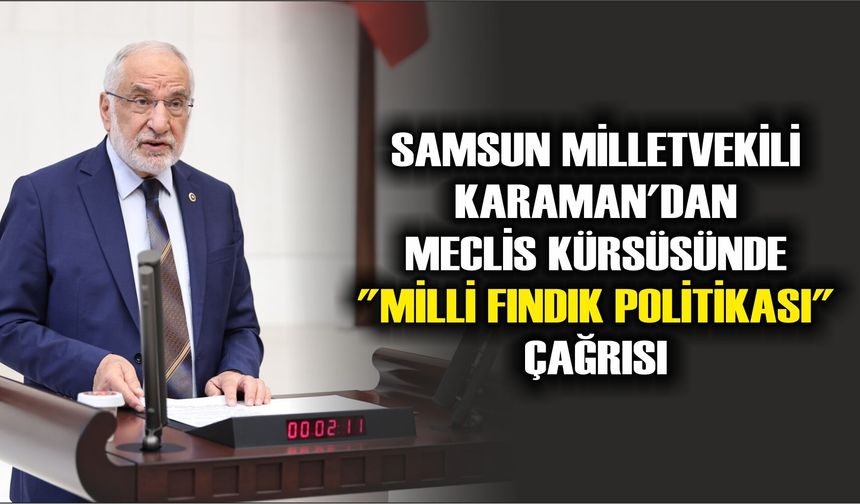 Samsun Milletvekili Karaman'dan Meclis Kürsüsünde "Milli Fındık Politikası" Çağrısı