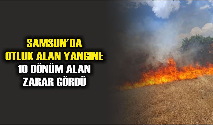 Canik'de otluk alan yangını: 10 dönüm alan zarar gördü