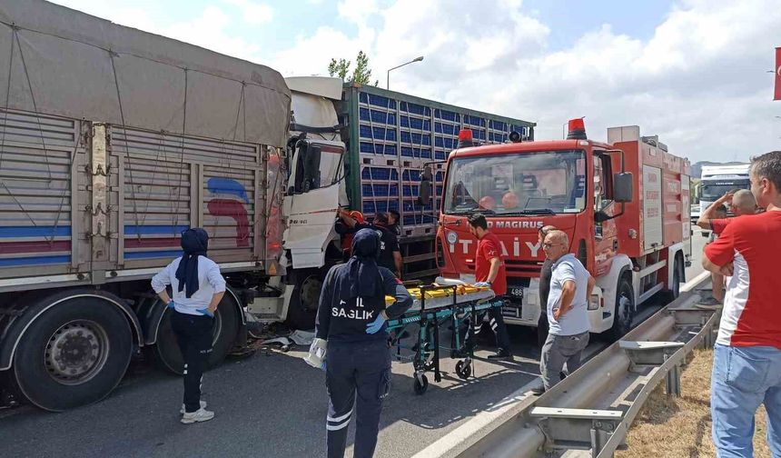 Havza'da tavuk yüklü tır, önündeki kamyona çarptı: 2 yaralı