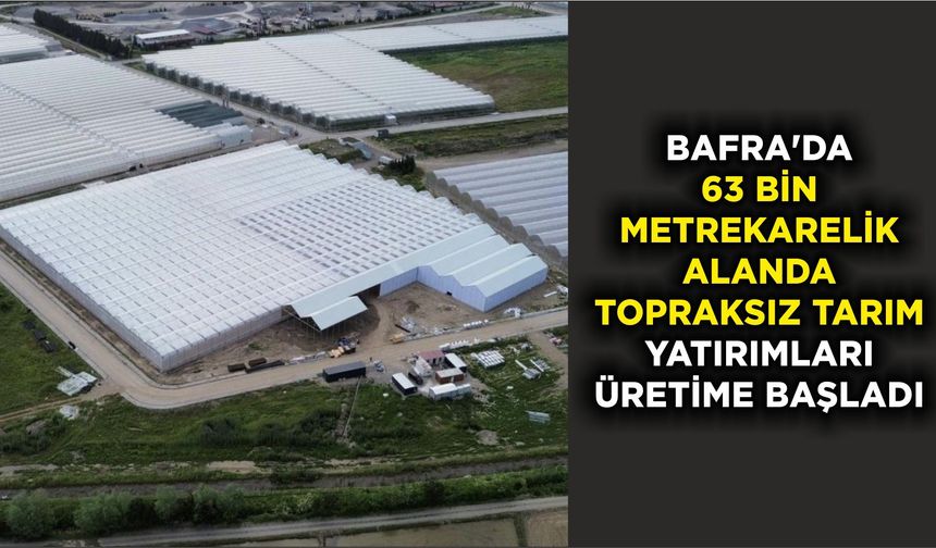 Bafra'da 63 bin metrekarelik alanda topraksız tarım yatırımları üretime başladı