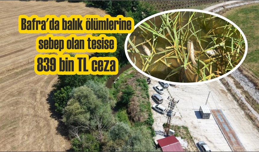 Bafra'da balık ölümlerine sebep olan tesise 839 bin TL ceza