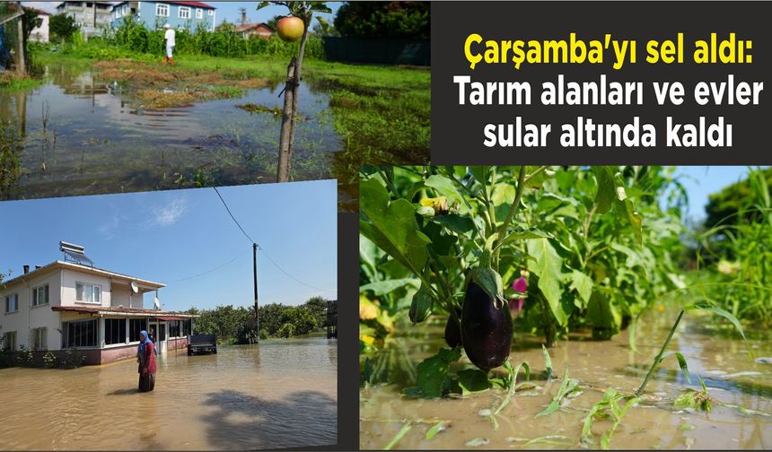 Çarşamba'yı sel aldı: Tarım alanları ve evler sular altında kaldı