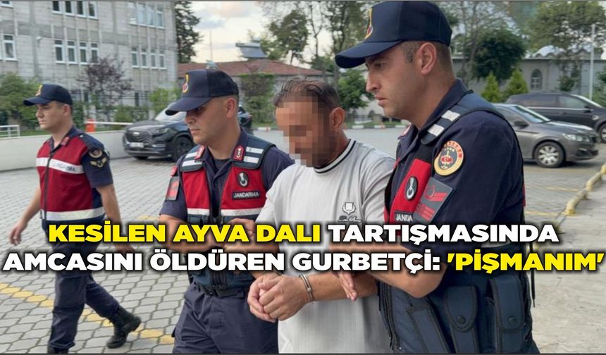 Kesilen ayva dalı tartışmasında amcasını öldüren gurbetçi: 'Pişmanım'
