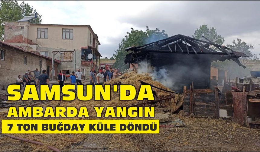 Samsun'da ambarda yangın: 7 ton buğday küle döndü