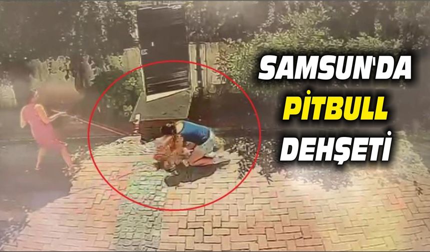 Samsun'da pitbull, Küçük kızı yere savurdu, köpeğini ise ağır yaraladı