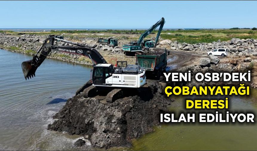 Tekkeköy Yeni OSB'deki Çobanyatağı Deresi ıslah ediliyor
