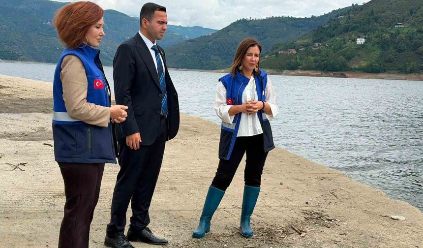 Hasan Uğurlu Baraj Gölü'ne 250 bin yavru sazan bırakıldı