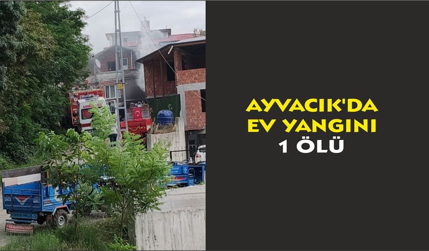 Ayvacık'da ev yangını: 1 ölü