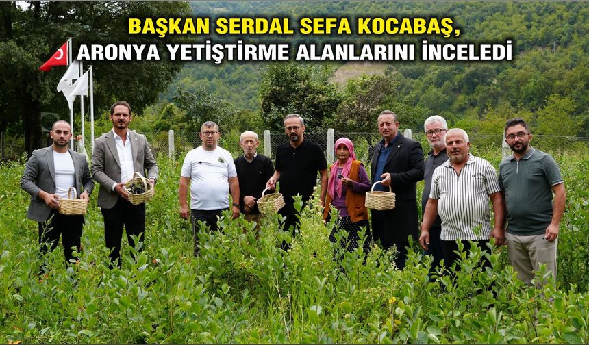 Başkan Serdal Sefa Kocabaş, Aronya Yetiştirme Alanlarını İnceledi
