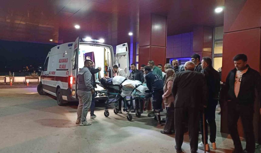 Havza'da ağabeyini tüfekle vurdu