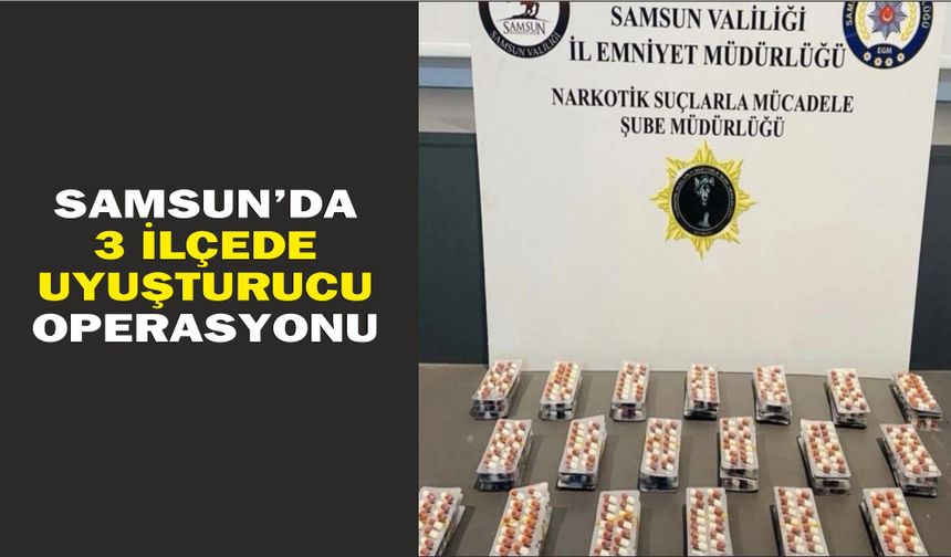 Samsun'da 3 ilçede uyuşturucu operasyonu