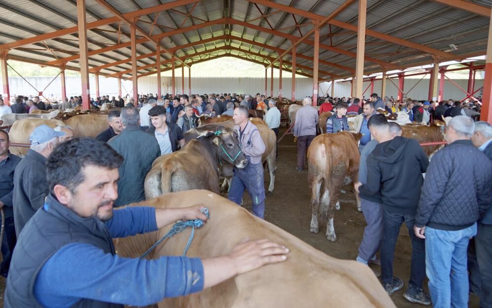 Hayvan pazarlarında  Bayram hareketliliği