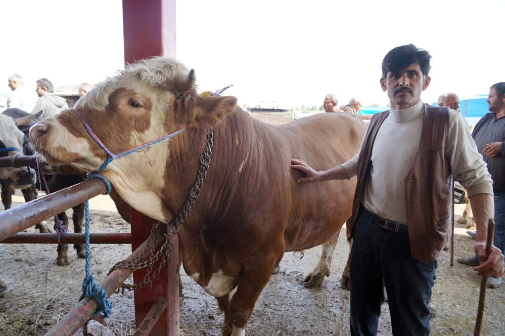 Hayvan pazarlarında  Bayram hareketliliği