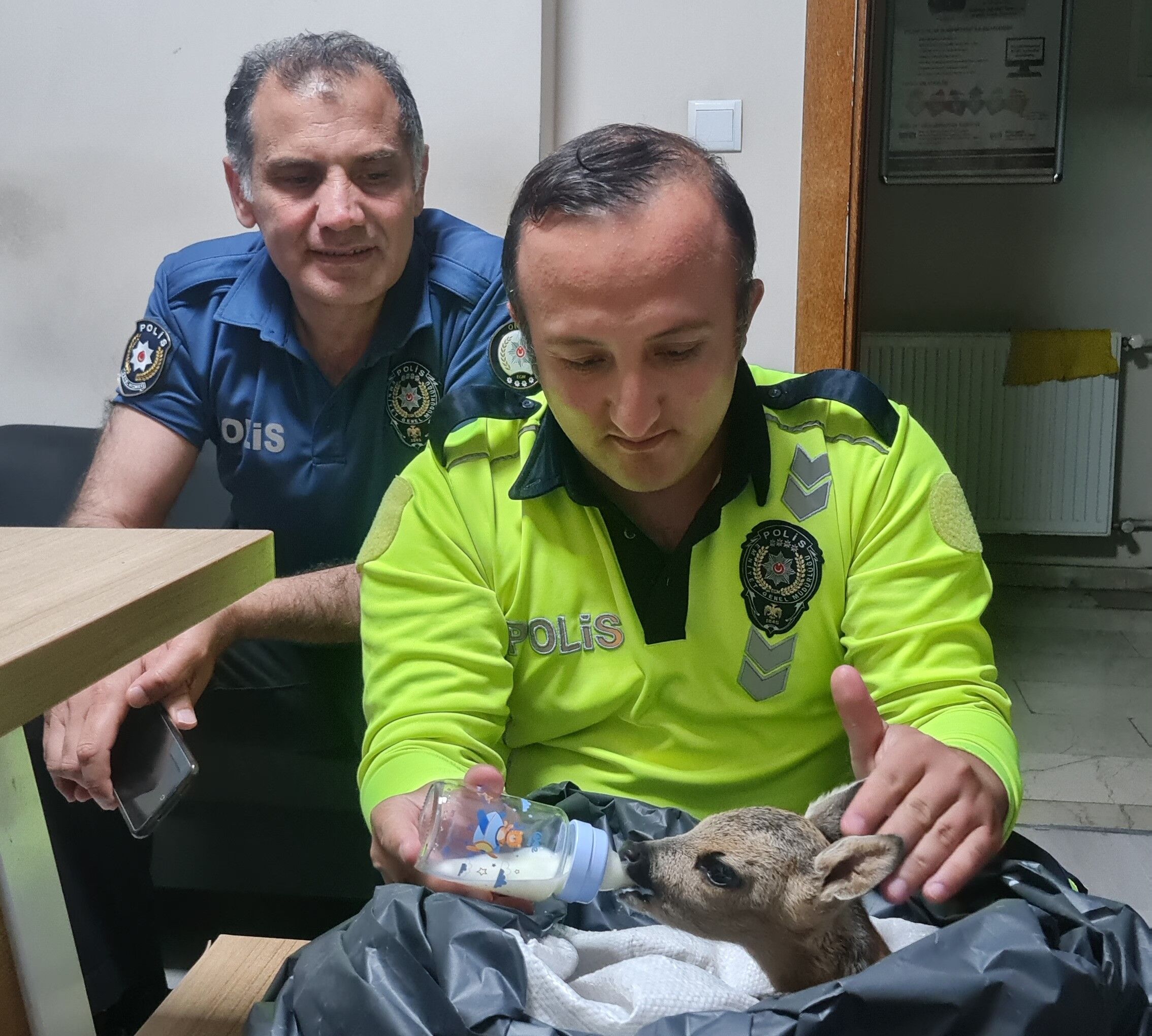 Ordu'da yaralı yavru karacaya polis şefkati