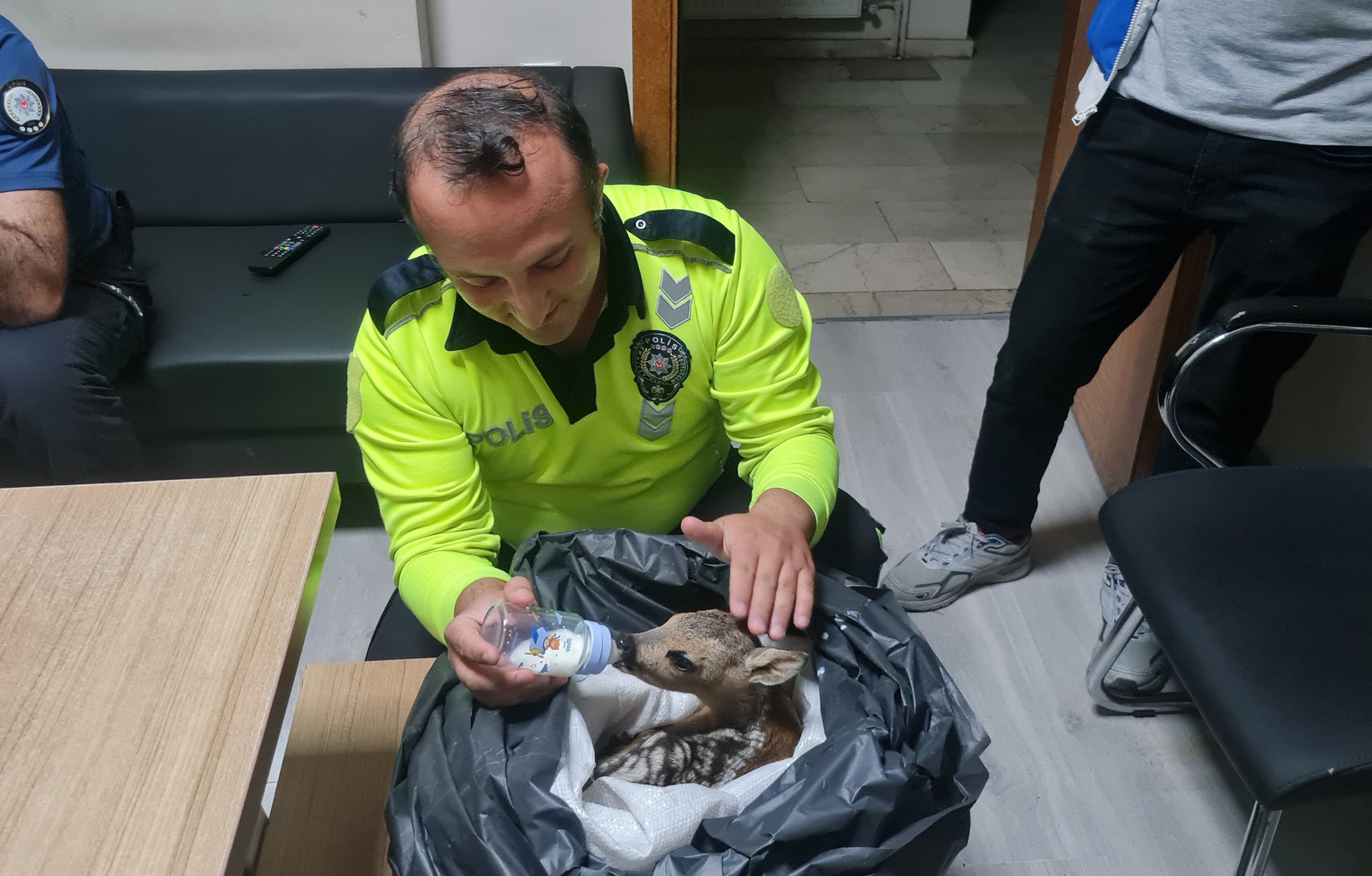 Ordu'da yaralı yavru karacaya polis şefkati