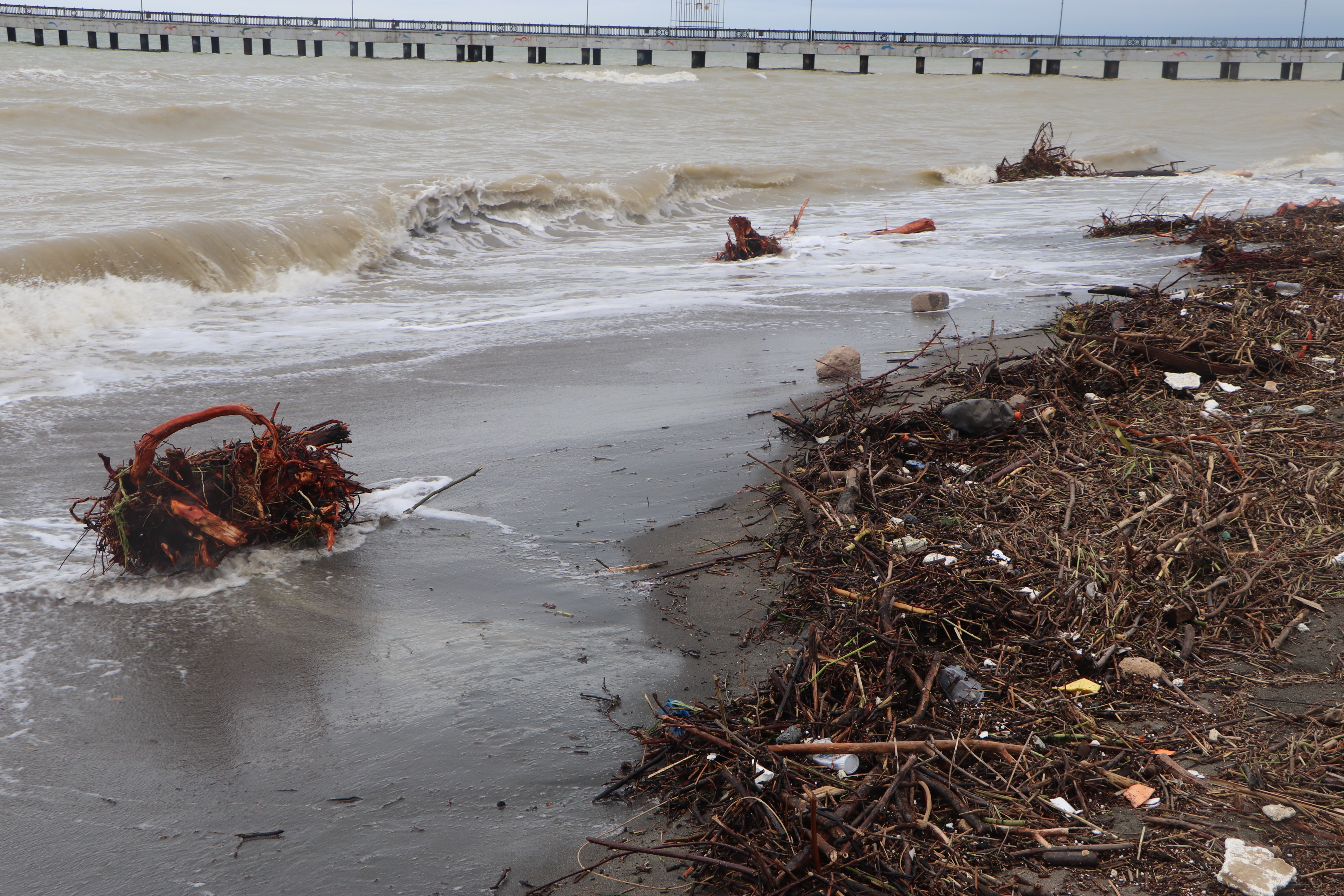 Samsun plajları ağaç parçaları ve çöplerle doldu
