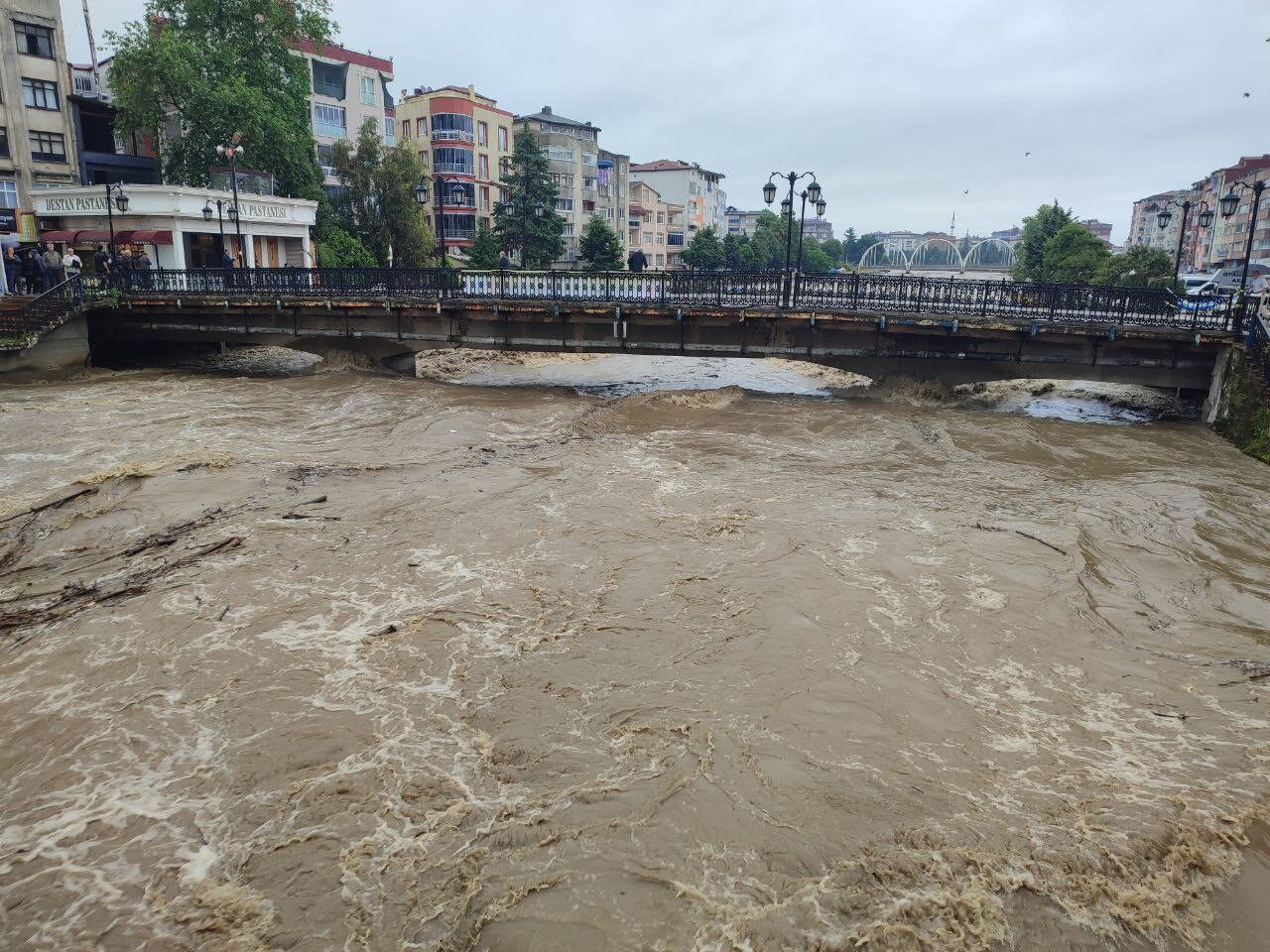 Terme Çayı'nda korkutan görüntü