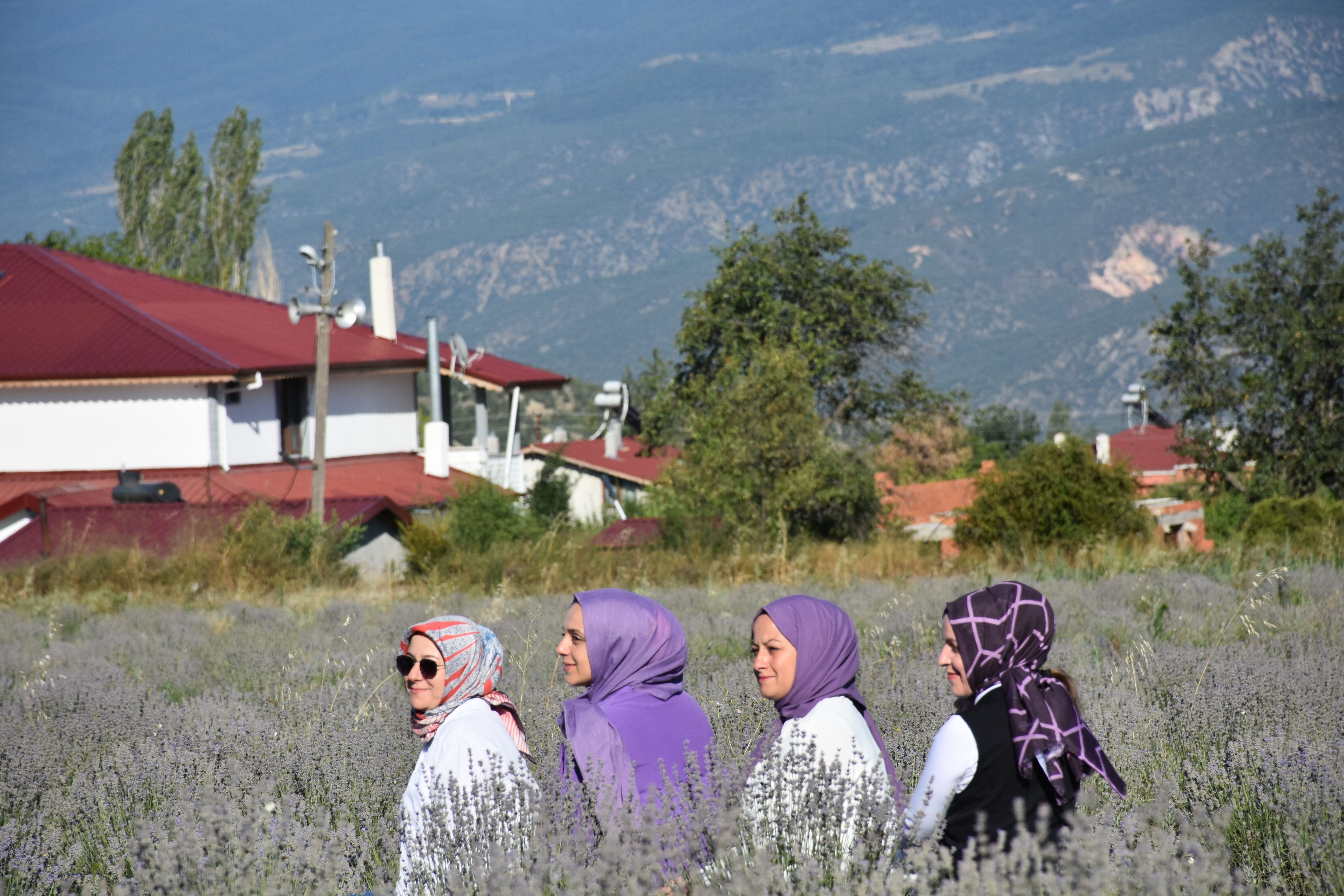 Ressamlığı bıraktı;  lavanta üreticisi oldu