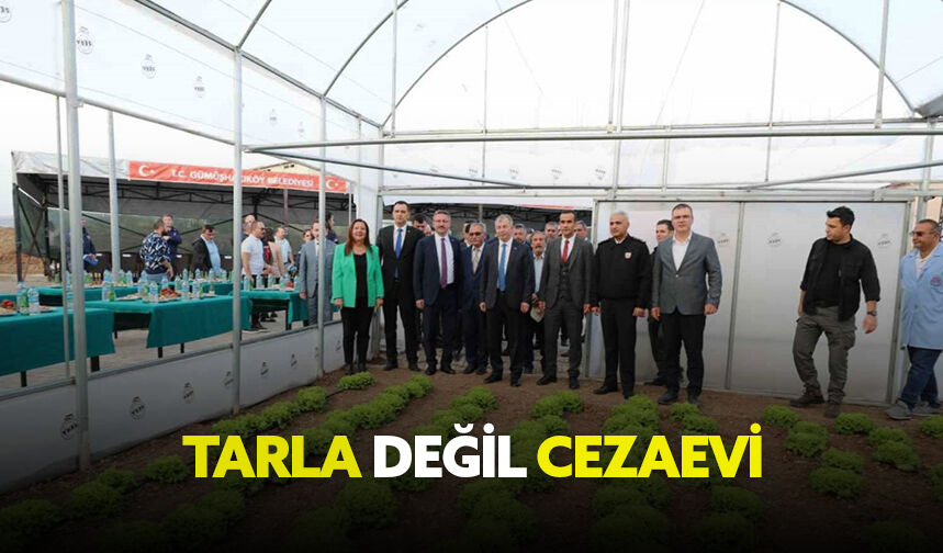 Tarla değil cezaevi
