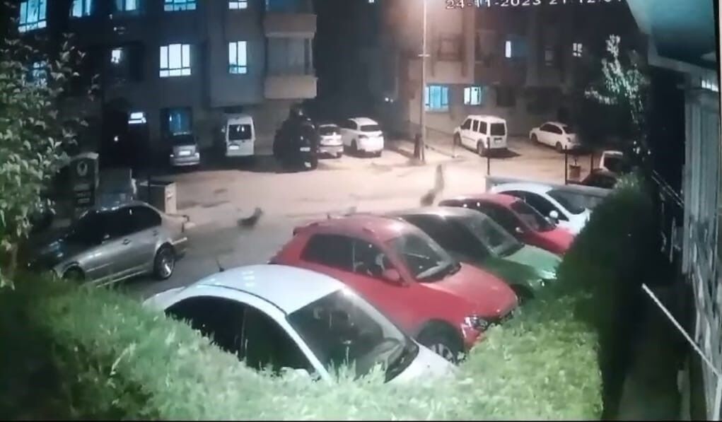 Ankara’da sokak köpeği dehşeti 