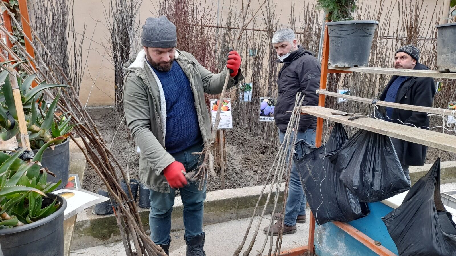 Dikimi Için O Ayları Beklemeyin! (1)