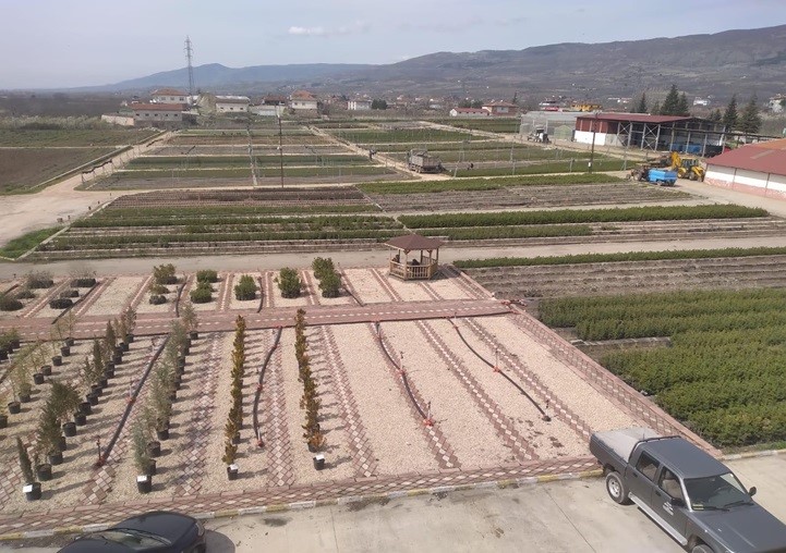 Samsun’da Yılda 134 Türde Üretilen 10 Milyon Fidan Türkiye’yi Yeşillendiriyor (3)