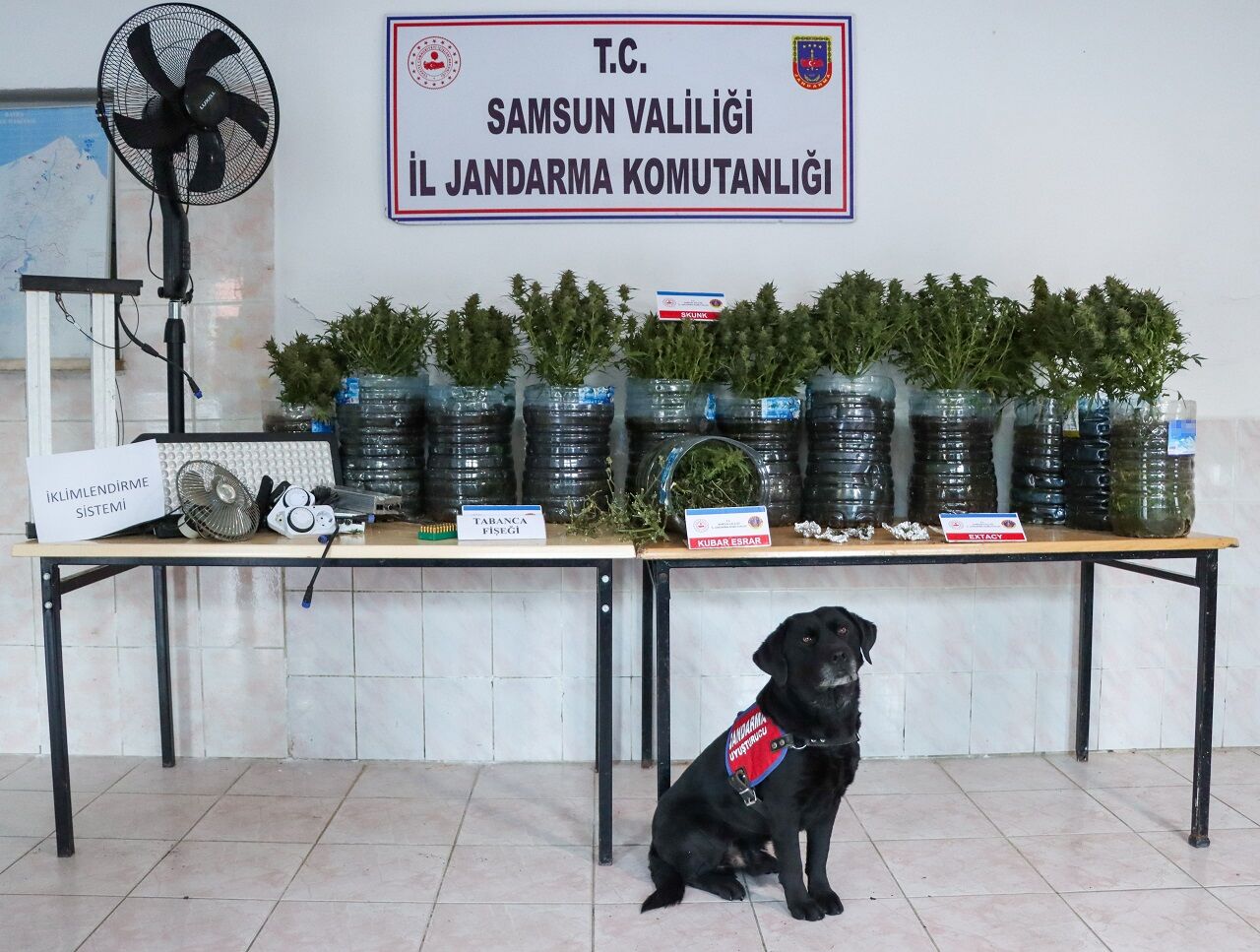 Bafra'da Jandarmadan Baskın Özel İklimlendirme Sistemiyle Uyuşturucu Üretimi (1)