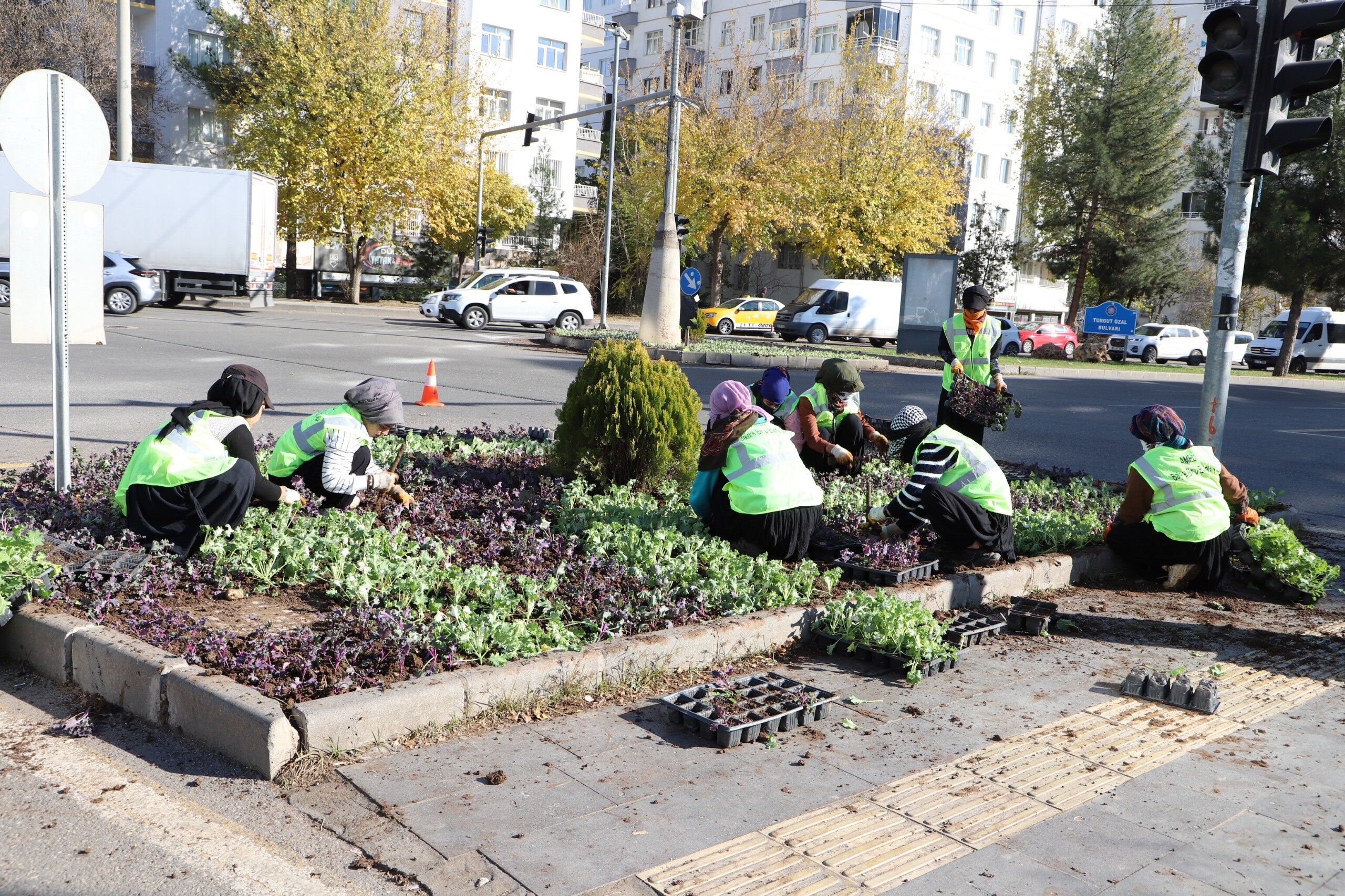 Diyarbakır’da 1 Milyondan Fazla Bitki Toprakla Buluştu 2