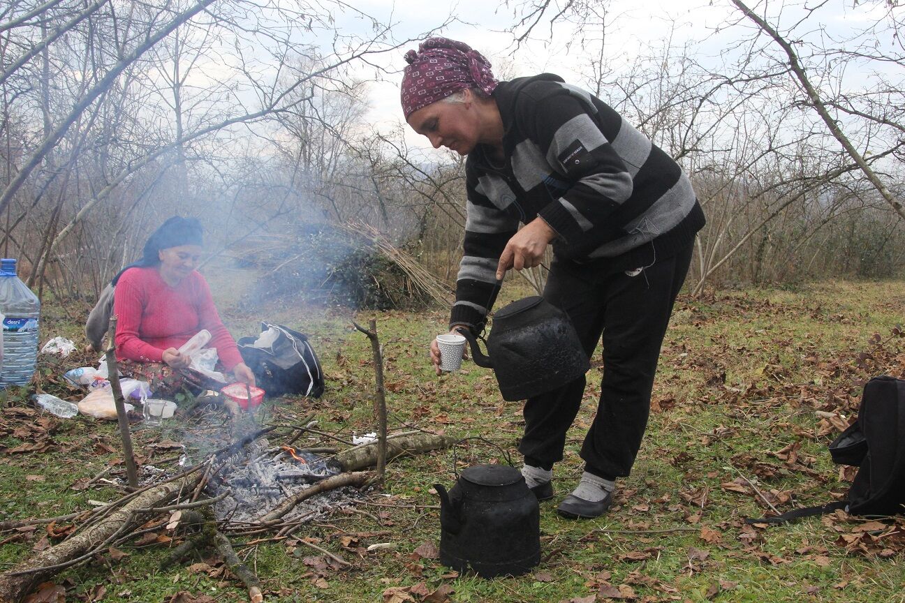 Karadeniz’de Fındık Mesaisi Başladı (3)