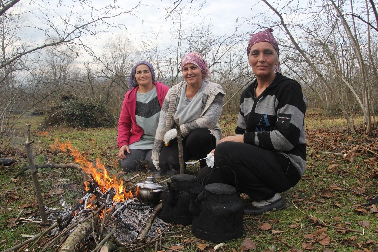 Karadeniz’de Fındık Mesaisi Başladı