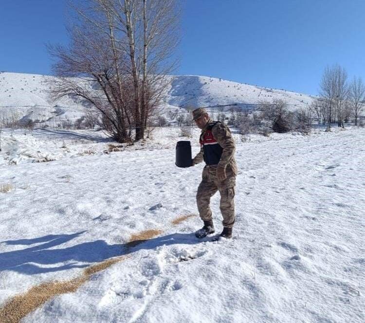 Kış Şartlarında Yaban Hayvanları Yalnız Bırakılmıyor