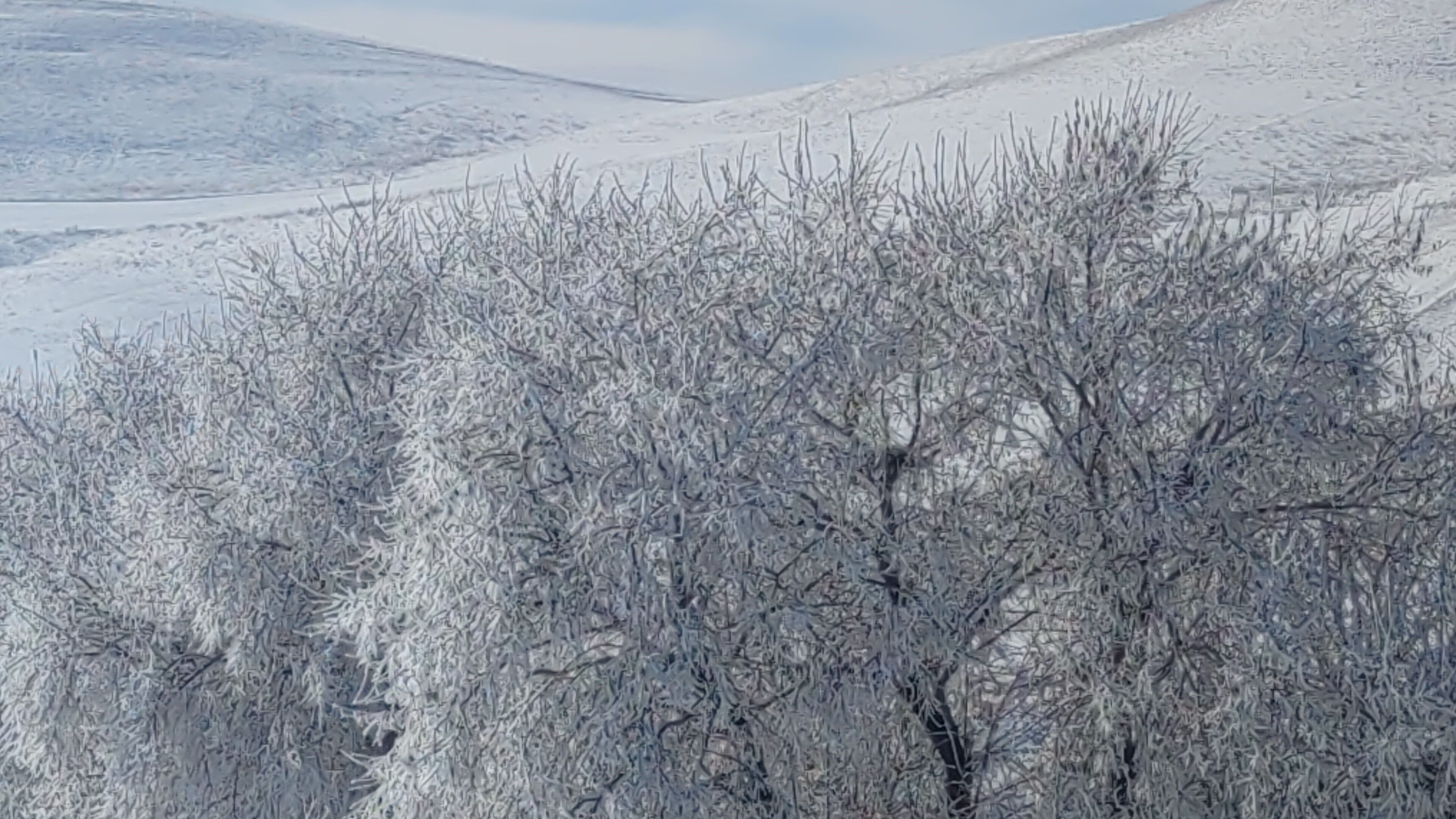 Özalp’te Dondurucu Soğuklar Doğa Buz Tuttu (2)
