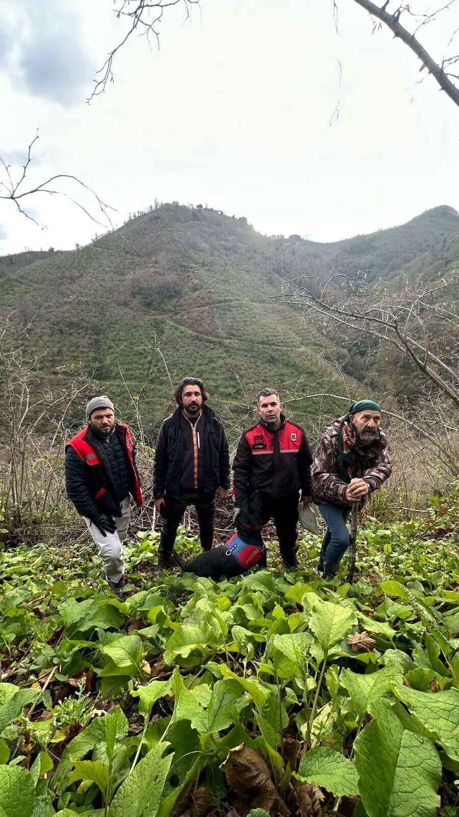 Samsun’da Avlanmaya Giden Şahıs Ormanda Ölü Bulundu (1)