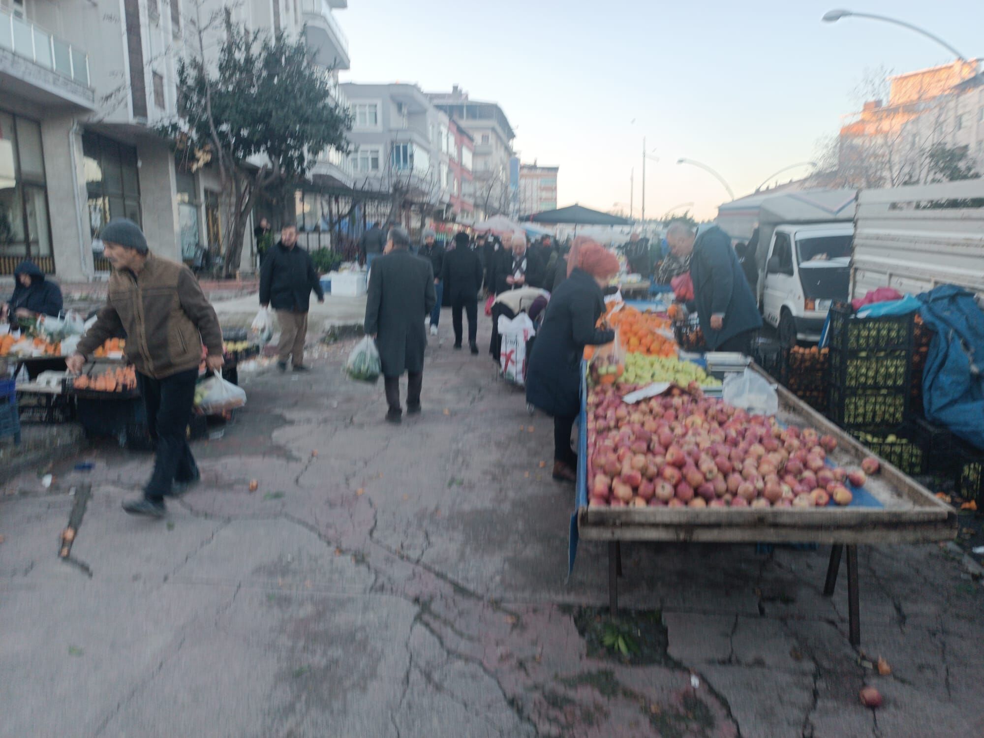 Samsun’da Kışlık Meyve Bolluğu Fiyatlar Düşüşe Geçti (2)