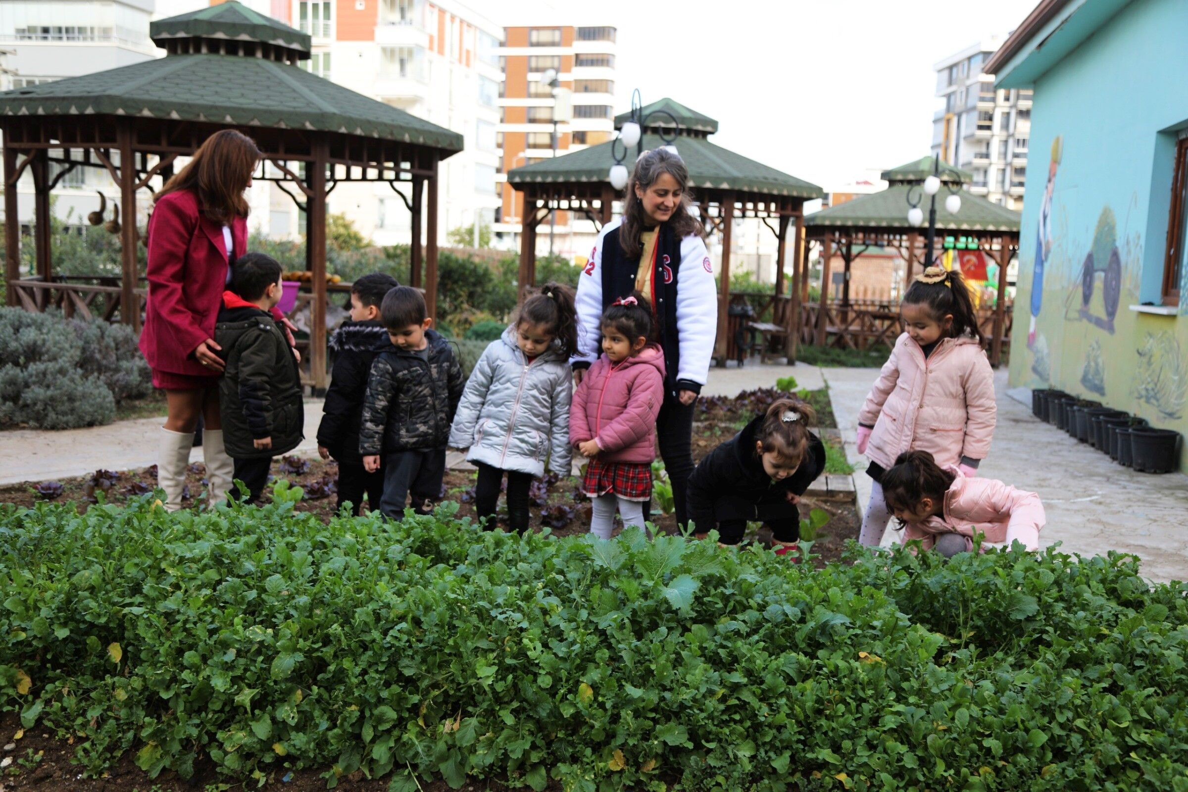 Samsun'da Minik Eller Ata Tohumlarıyla Buluştu! (5)