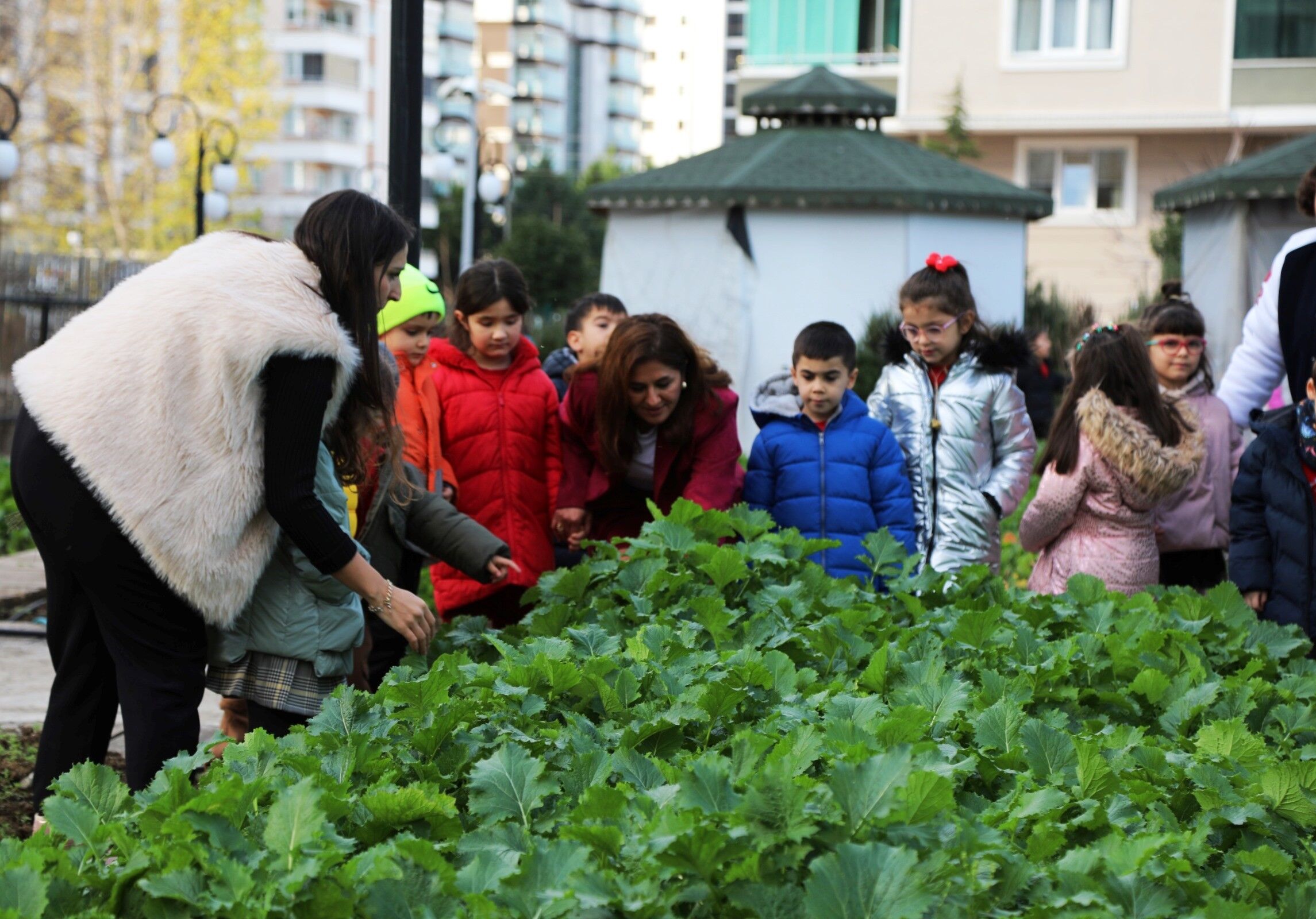 Samsun'da Minik Eller Ata Tohumlarıyla Buluştu! (6)