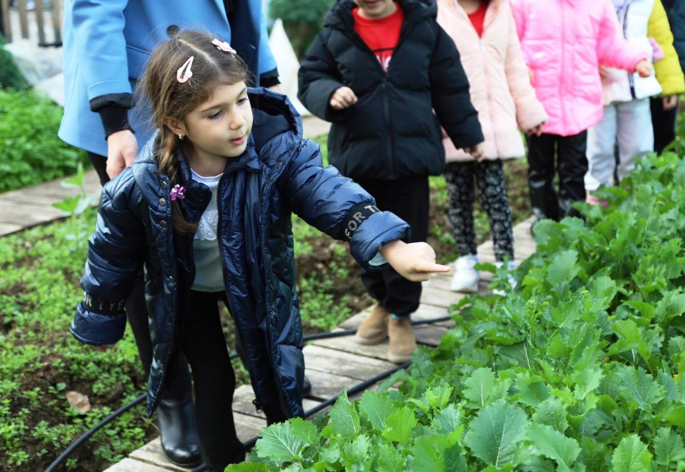 Samsun'da Minik Eller Ata Tohumlarıyla Buluştu! (8)