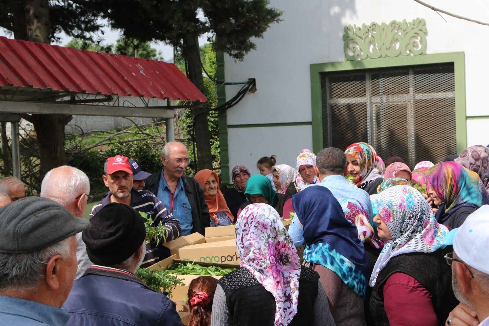 Atakum Belediyesi'nden Çiftçilere Tohum Desteği 2