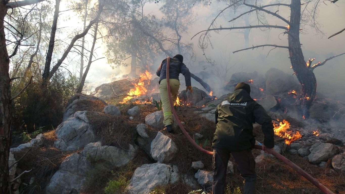 Antalya’da Orman Yangını 2