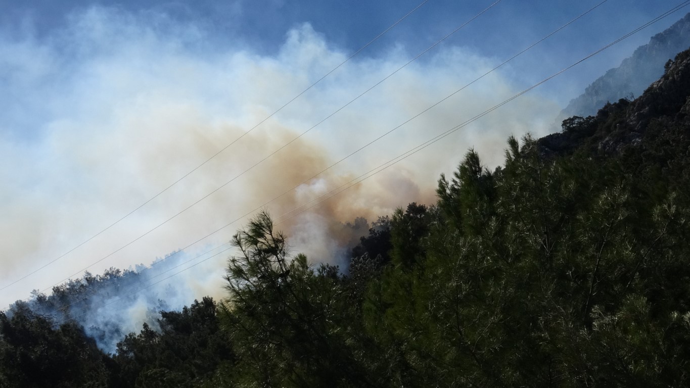 Antalya’da Orman Yangını 3