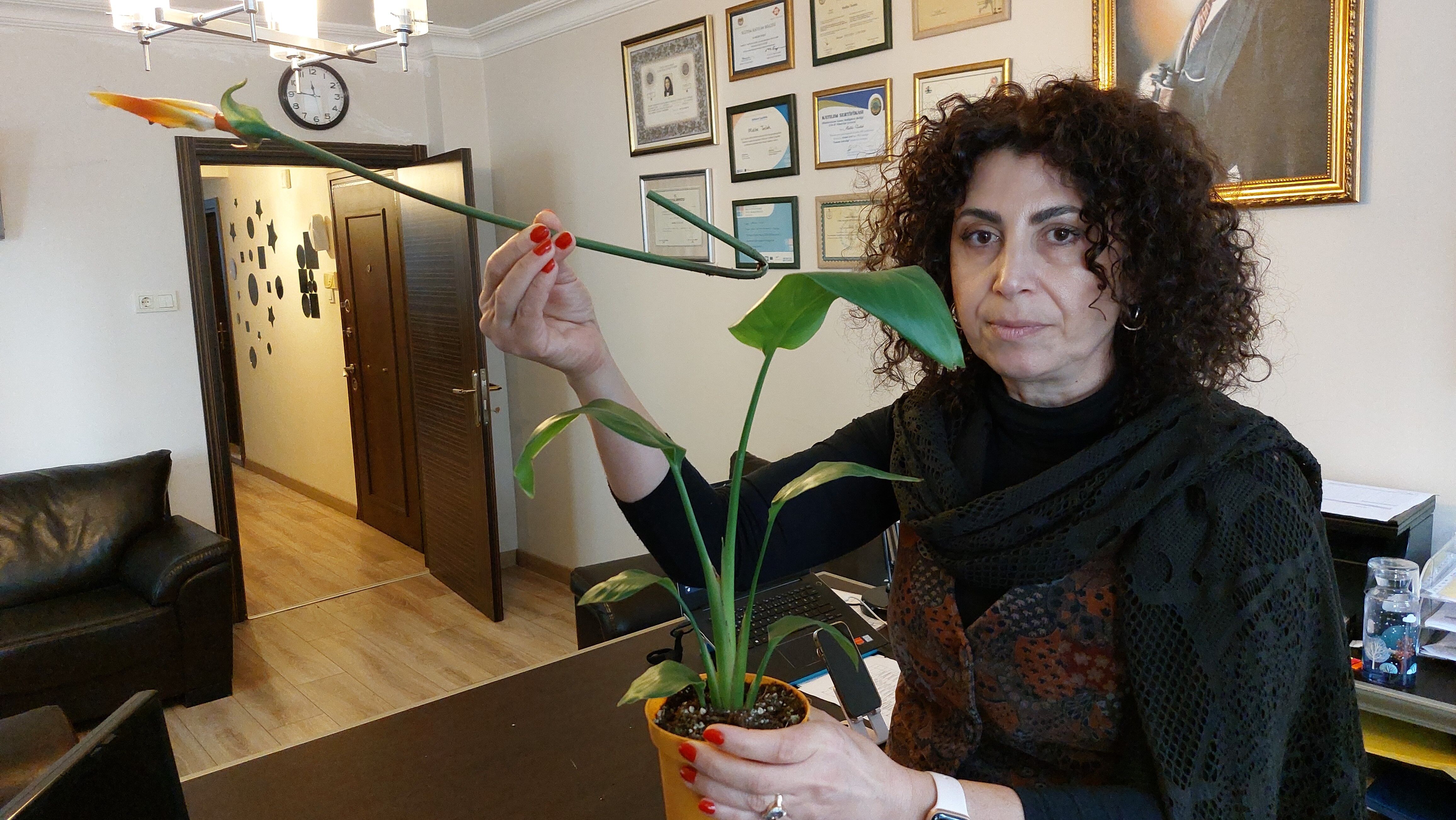 Canlı' Diye Aldığı Çiçek ‘Plastik' Çıkınca Marketi Savcılığa Şikayet Etti (4)