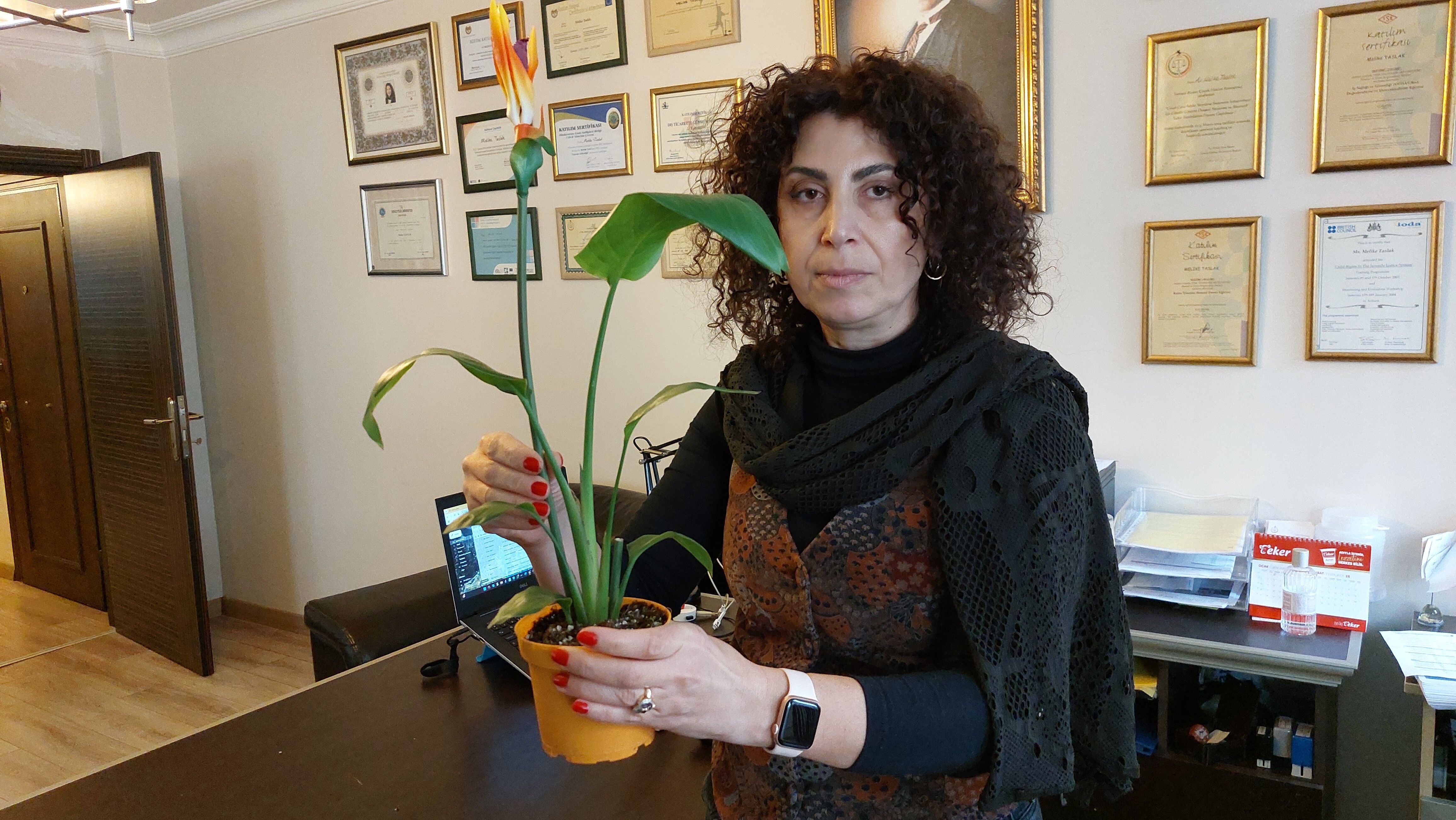 Canlı' Diye Aldığı Çiçek ‘Plastik' Çıkınca Marketi Savcılığa Şikayet Etti (5)